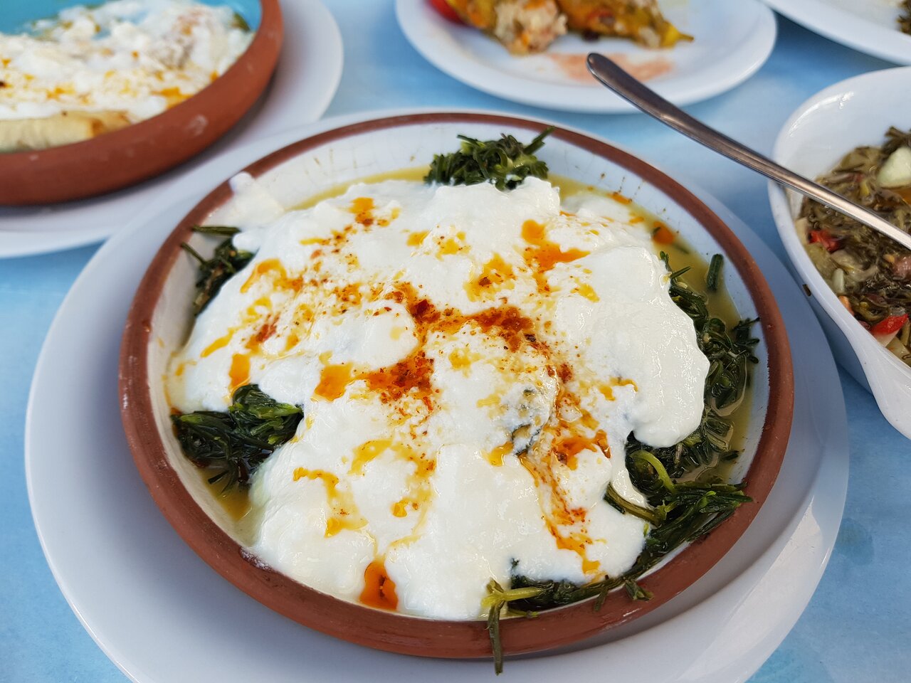 SICAK OT TABAĞI