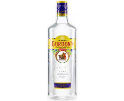 GORDON'S 100 LÜK 