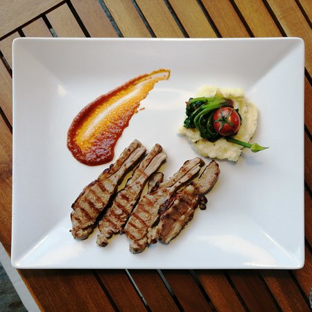 KUZU BÖBREK YATAĞI