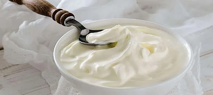 Yoğurt
